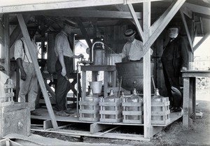 view Tallulah laboratory, La., with F.B. Power and three others. Photograph.