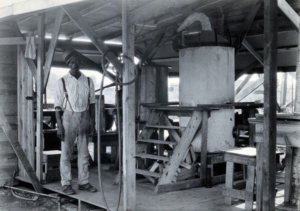 Tallulah laboratory, La., with one of the attendants. Photograph.