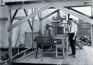 view Tallulah laboratory, La., with one of the attendants. Photograph.