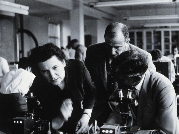 T.S. Detinova and two others. Photograph by L.J. Bruce-Chwatt.