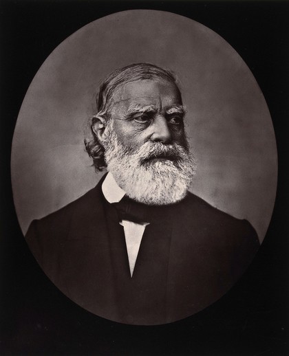 François-Vincent Raspail. Photograph by Goupil et Ce.
