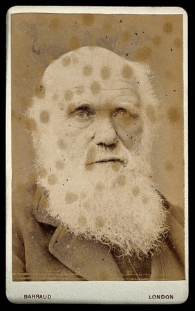 Charles Robert Darwin. Photograph by Barraud.