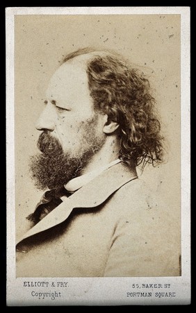 Alfred, Lord Tennyson. Photograph by Elliott & Fry.