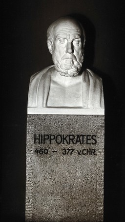 Hippocrates. Photograph after a bust.