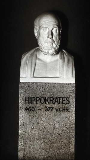 view Hippocrates. Photograph after a bust.