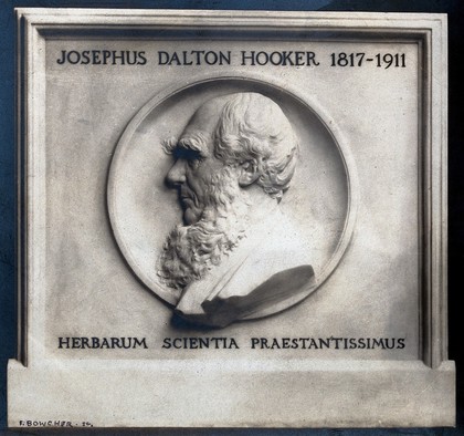 Joseph Dalton Hooker. Photograph by Burow after a bas relief sculpture by F. Bowcher.