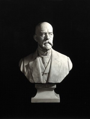 view Robert Koch. Photograph by Kaufmann-Fabry after a bust, 1933.