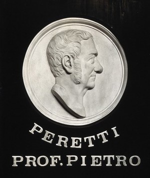 view Pietro Peretti. Photograph after a relief.