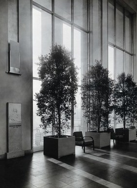 Bernardino Ramazzini. Photograph of a bas-relief in the Deutsches Hygiene Museum.