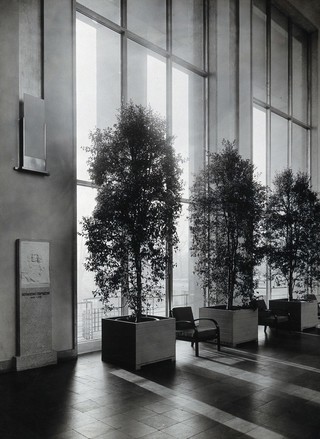 Bernardino Ramazzini. Photograph of a bas-relief in the Deutsches Hygiene Museum.