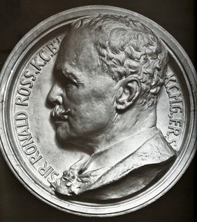 Sir Ronald Ross. Photograph by Major R. Knowles (?), 1927, after a medallion.