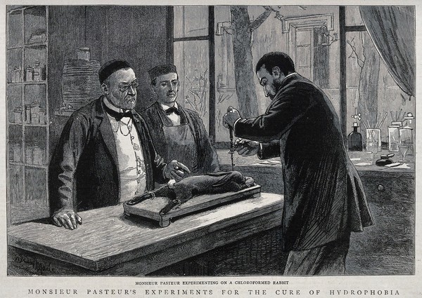 Louis Pasteur (left) watching a colleague trephining a chloroformed rabbit during his research on rabies vaccination. Wood engraving (?), 1885.