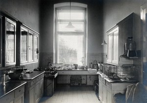 view University Children's Hospital, Vienna: a room for experimental animals. Photograph, 1921.