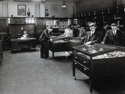 Philadelphia College of Pharmacy and Science: people looking at rocks in glass cases in college museum. Photograph, c. 1933.