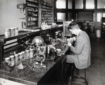 Philadelphia College of Pharmacy and Science: student experimenting with plants in a laboratory. Photograph, c. 1933.