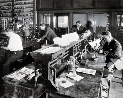 Philadelphia College of Pharmacy and Science: students experimenting with plants in a laboratory. Photograph, c. 1933.