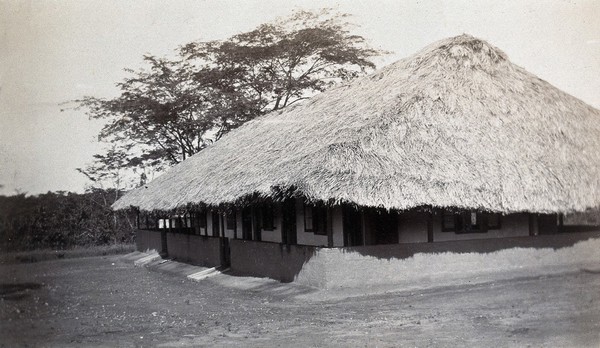 Building with roof made out of palm leaves. Photograph, c. 1911.