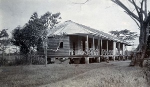 view Wooden building. Photograph, c. 1911.