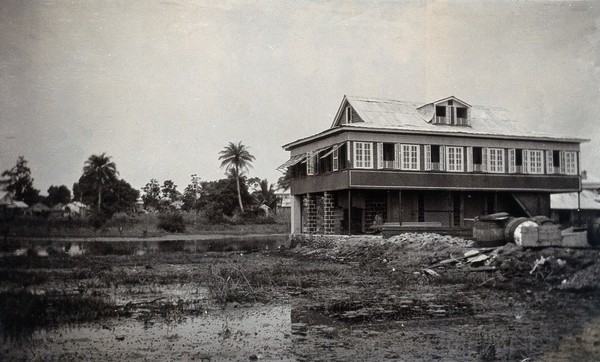 Wooden building on swampland in Bonthe, Sierre Leone. Photograph, c. 1911.