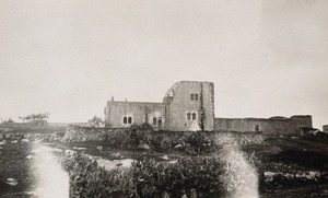 view Smallpox epidemic, Palestine: hospital building.