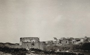 view Smallpox epidemic, Palestine: the hospital and village. Photograph.