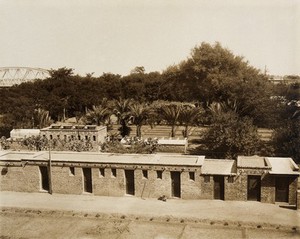 view Wellcome Tropical Research Laboratories, Khartoum: sheds for keeping animals. Photograph, c. 1920.