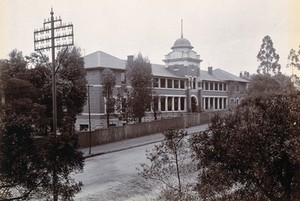 view Johannesburg Hospital, South Africa: long two-storey building, possibly divided into wards. Photograph, c. 1905.