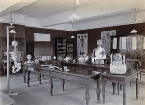 view Johannesburg Hospital, South Africa: tables with anatomical models. Photograph, c. 1905.