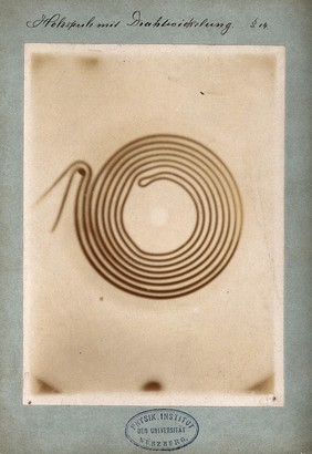 A wire wound around a wooden spool, viewed through x-ray. Photoprint from radiograph by W.K. Röntgen, 1895.