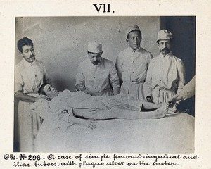 view Seamen's Hospital for infectious diseases in Jurujuba, Rio de Janeiro; a male plague patient lying on a bed being treated by a member of the medical team. Photograph, 1904/1911.