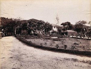 view A curved pathway past a small garden, probably leading to a plague hospital in Bombay. Photograph, 1896/1897.