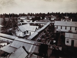 view Metropolitan Lunatic Asylum, Kew, Victoria (Australia): some of the buildings and grounds. Photograph.