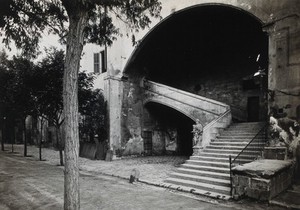 view Hospital de la Santa Cruz, Barcelona: a staircase leading up to the men's department; at the foot there is a statue of Charity. Photograph.