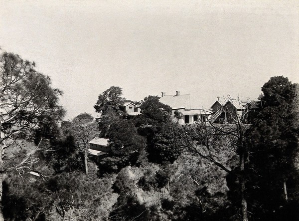 The Pasteur Institute, Kasauli, India: view to the north of buildings and foliage. Photograph, ca. 1910.