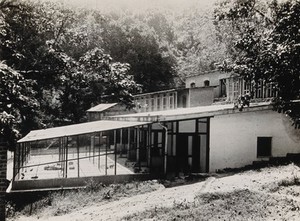 view The Pasteur Institute, Kasauli, India: rabbits, used in the development of rabies vaccines, in an enclosure. Photograph, ca. 1910.