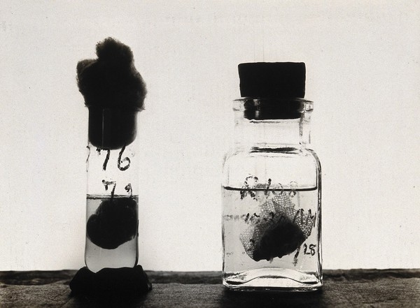 The Pasteur Institute, Kasauli, India: stages in the preparation of the rabies vaccine: rabbit brains suspended in ether (right) and preserved in glycerine (left). Photograph, ca. 1910.