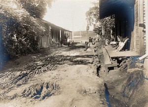 view Open sewers alongside a mud road lined with wooden houses, Caledonia, Panama. Photograph, 1908.