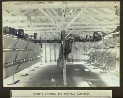 Panama Canal workers' (European) sleeping quarters: interior showing fold-up bunks. Photograph, ca. 1911.