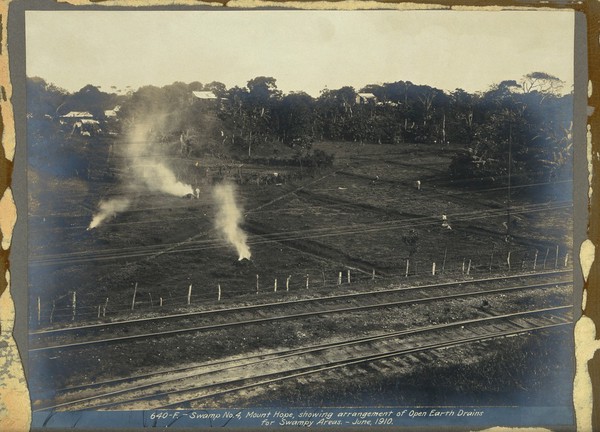 Open earth draining of a swamp at Mount Hope; Panama Canal construction work. Photograph, 1910.