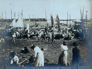 view Market boats being unloaded at low tide, Panama. Photograph, ca. 1910.