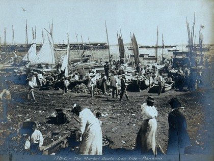 Market boats being unloaded at low tide, Panama. Photograph, ca. 1910.