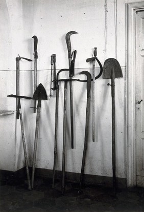 The anti-malaria school, Nettuno, Italy: large wooden-handled metal tools used in malaria control work. Photograph, 1910/1937 (?).