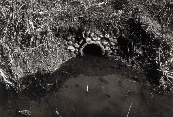 Nettuno, Italy: a drain made of mortar (to aid mosquito control) leading to a muddy pool. Photograph, 1918/1937 (?).