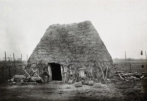 view Nettuno, Italy: a thatched hut surrounded by wire and wood fencing. Photograph, 1918/1937 (?).