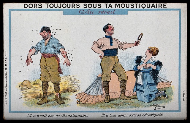 The homecoming of a soldier from the east, showing the benefits of using quinine and a mosquito net. Chromolithograph by B. Rabier.