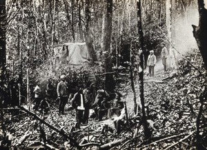 view A cinchona (used to produce the anti-malarial drug quinine) exploration camp in an Indian (?) forest. Photograph, 1905/1920 (?).