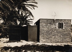 view Military brick hut next to palm trees. Photograph, ca. 1945 (?).