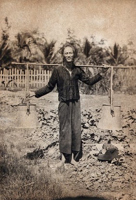 A man in traditional Chinese dress carries pails of faeces, supported by a pole across his back, with which he will fertilise a vegetable garden, Kuching Sarawak, Borneo. Photograph by A.R. Wellington, 1908.