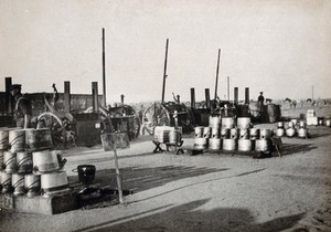 view Moascar, Ismailia, Egypt (Suez Canal area): the New Zealand military camp open air kitchen: rows of large metal cooking pots (known as dixies). Photograph, 1914/1918 (?).