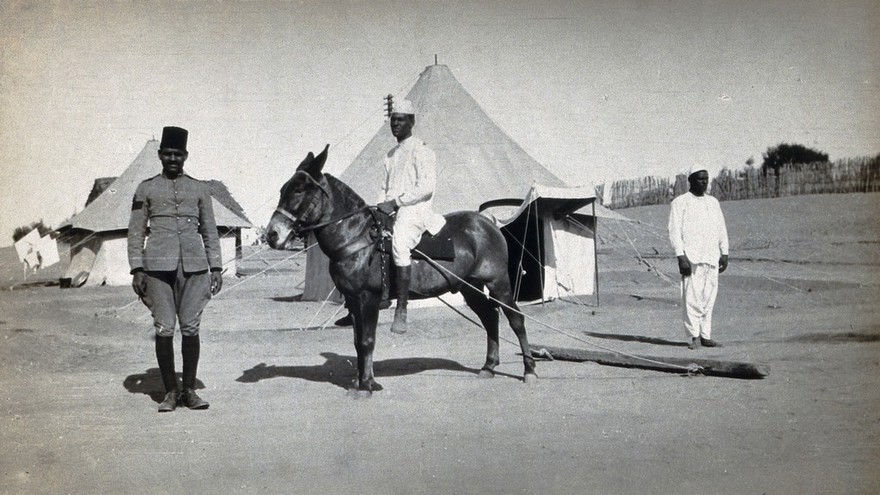 Egypt (?): a military desert camp with tents, a horseman with a device for sweeping the camp attached to the horse, and a colonial soldier. Photograph by J. D. Graham, 1914/1918 (?).